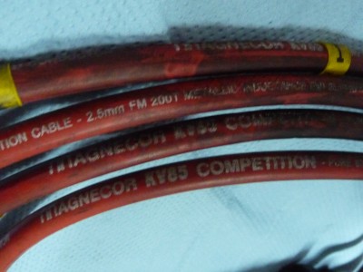 P1050098.JPG