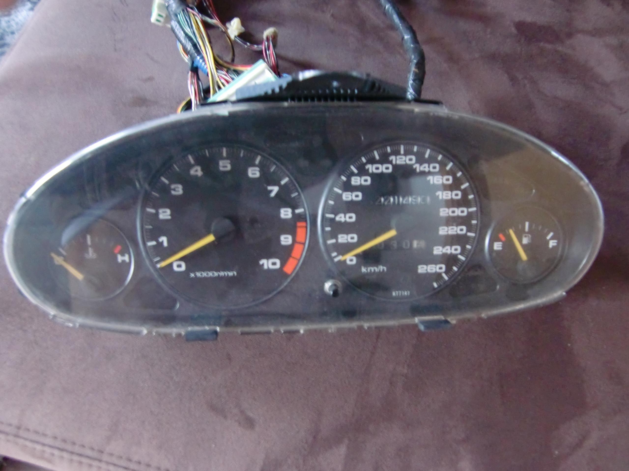 CIMG1510.JPG