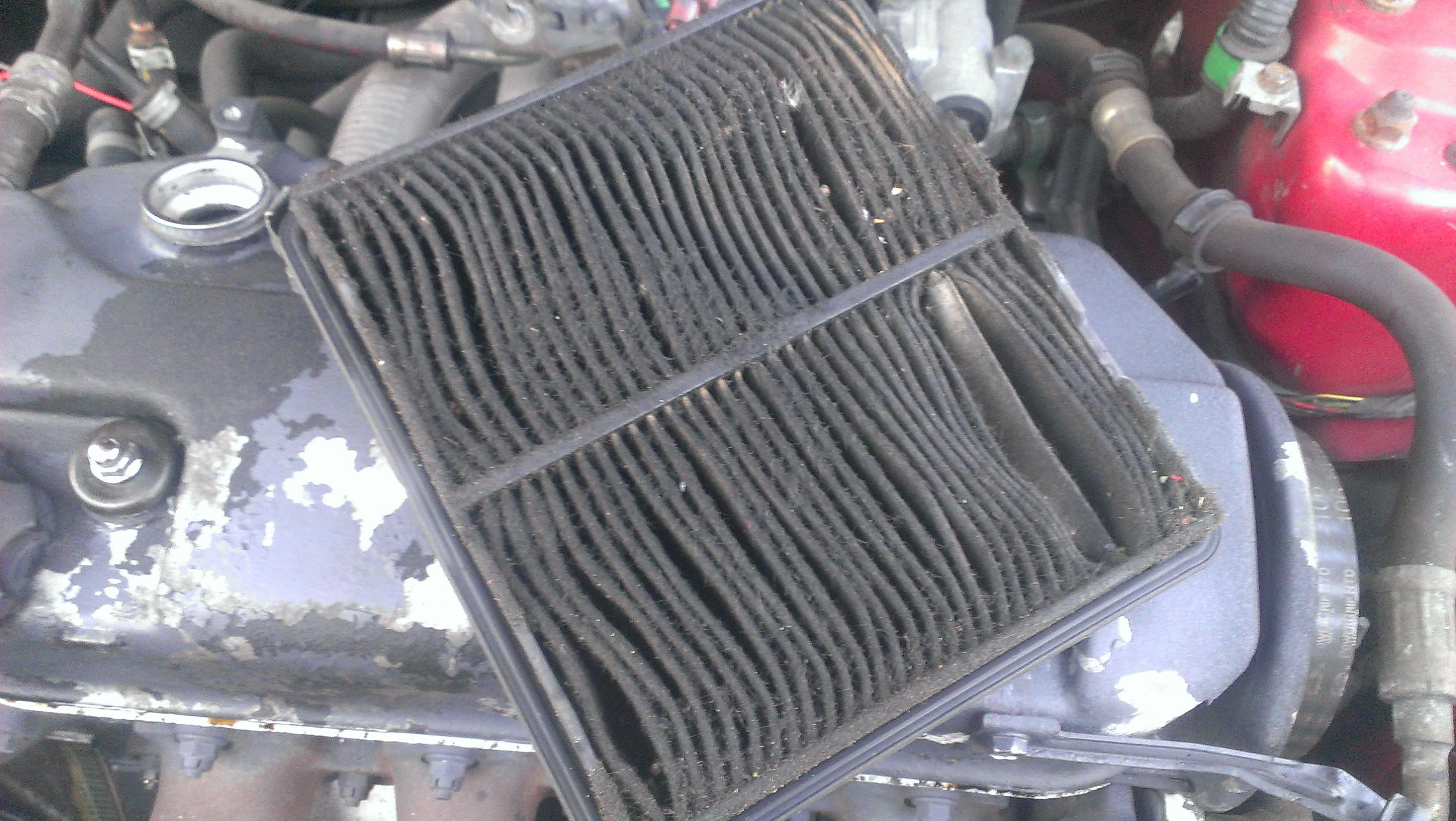 IMAG0523.jpg