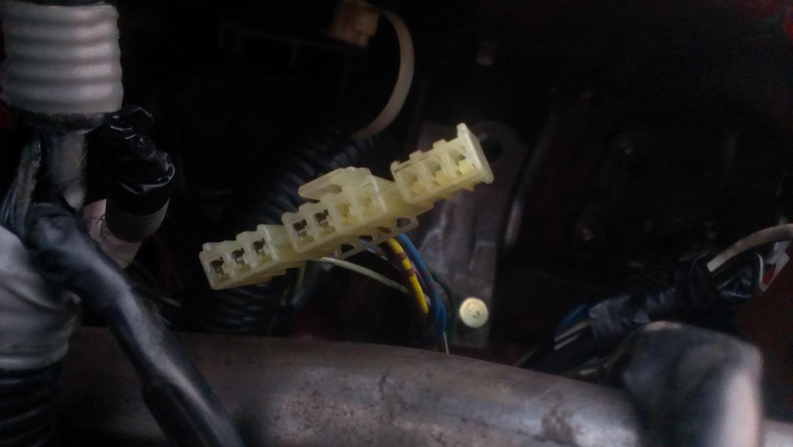 IMAG0550.jpg