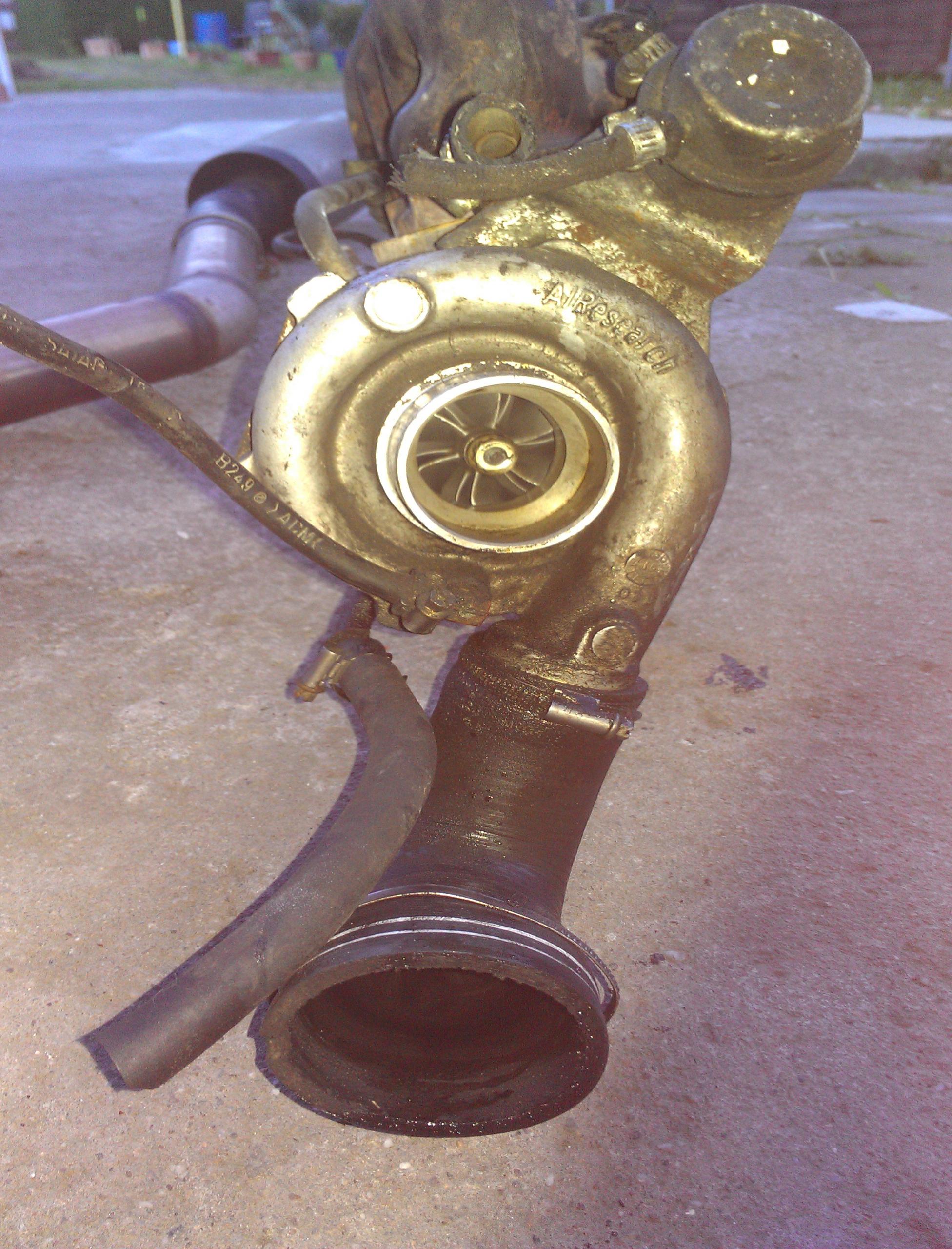 IMAG0798.jpg