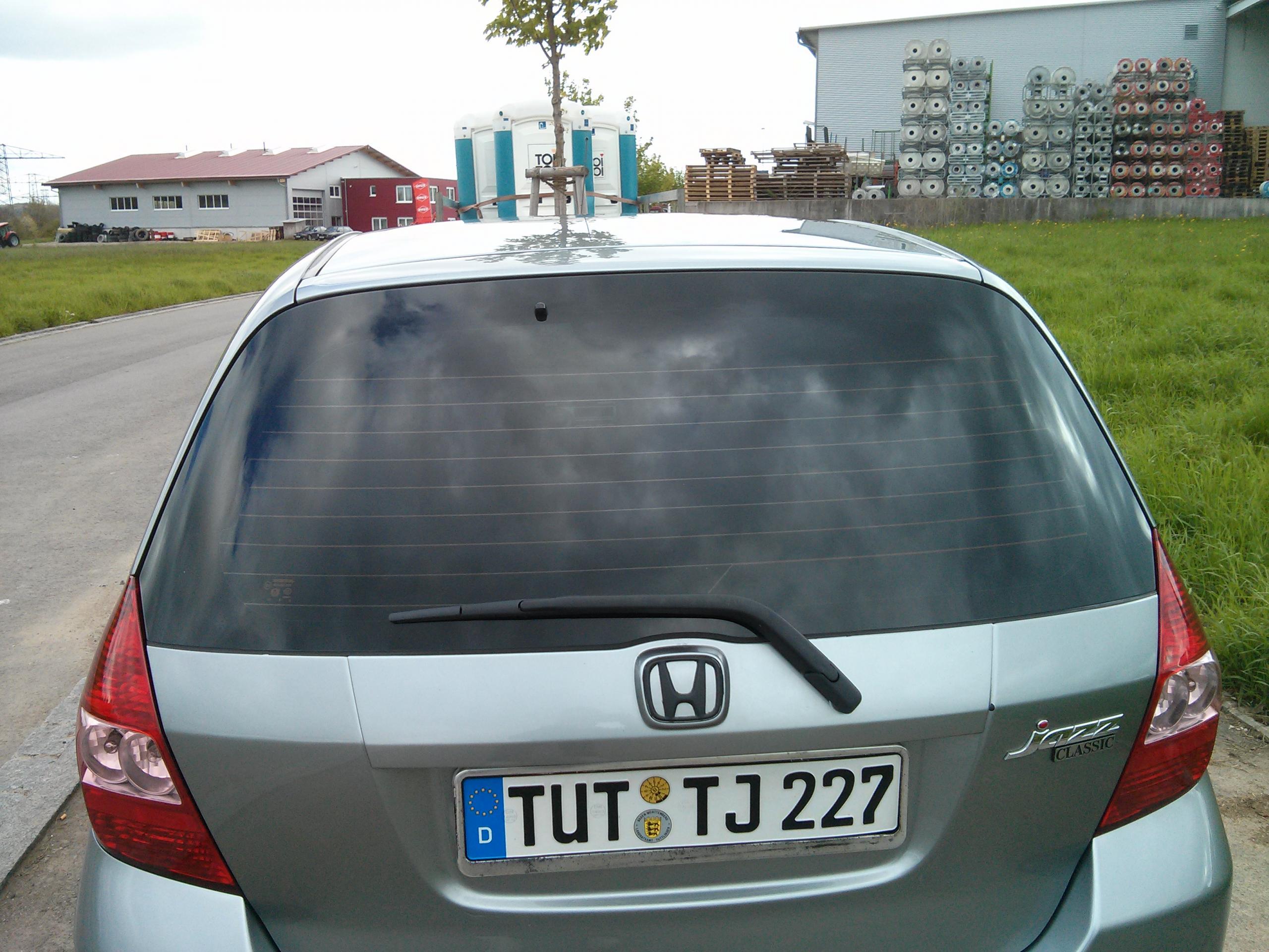 IMG_20130513_165358.jpg