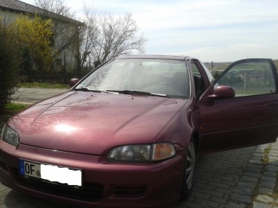 2013-04-14 13.24.36.jpg