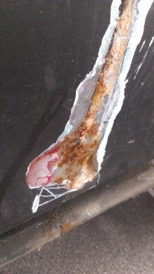 IMAG0441.jpg