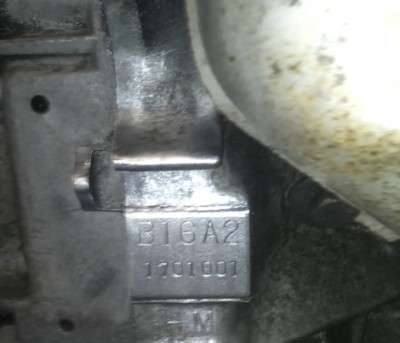 IMG1016.jpg