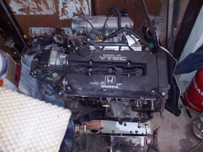 IMG_20130519_150922.jpg