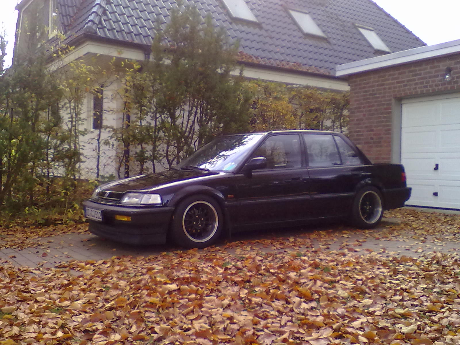 27102012052.jpg