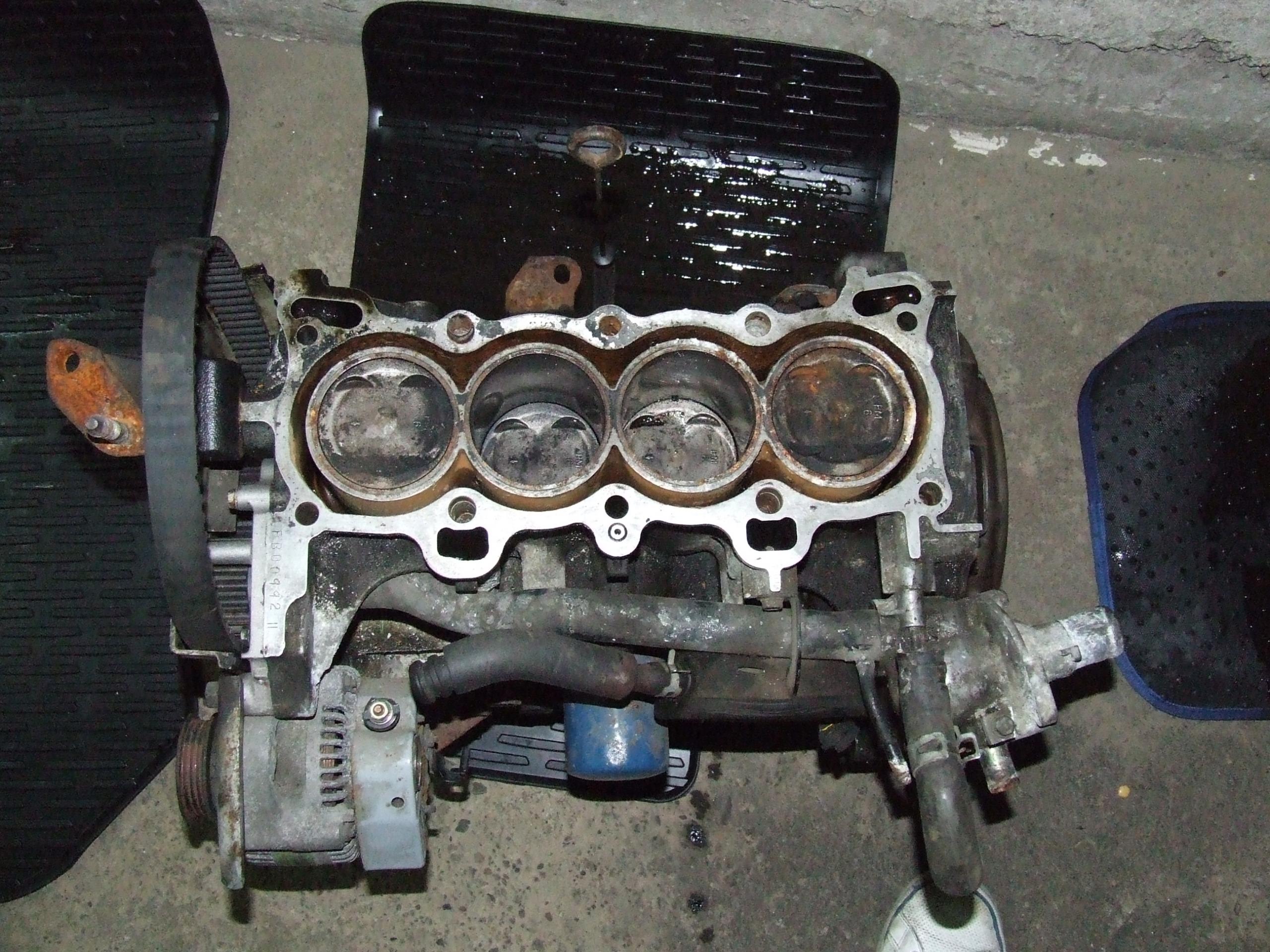 DSCF8915.JPG