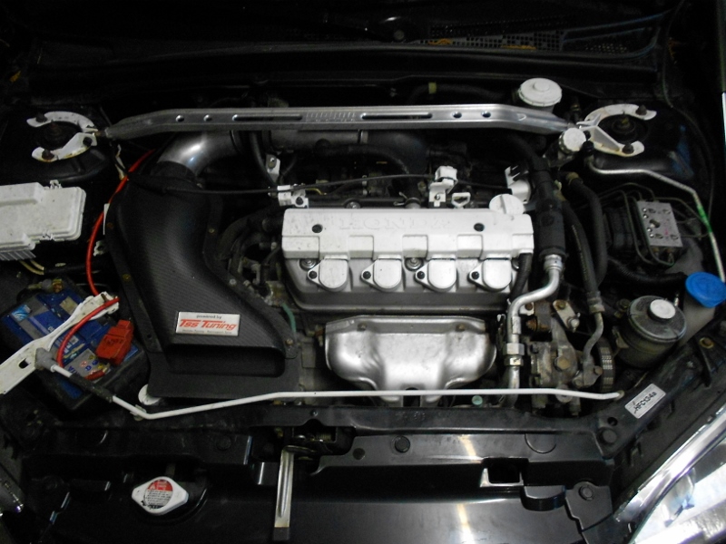 DSCN4596 (800x600).jpg