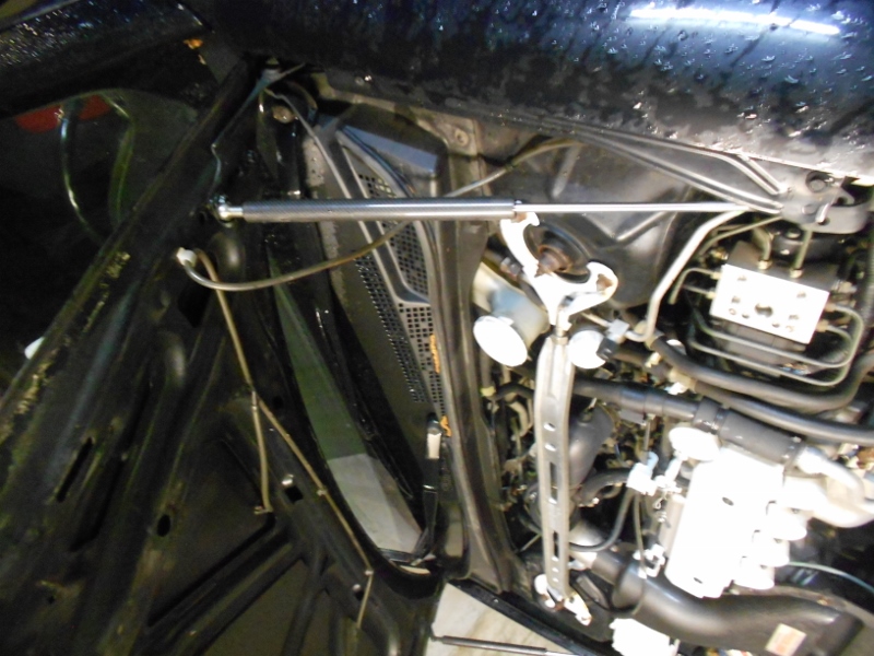 DSCN4597 (800x600).jpg