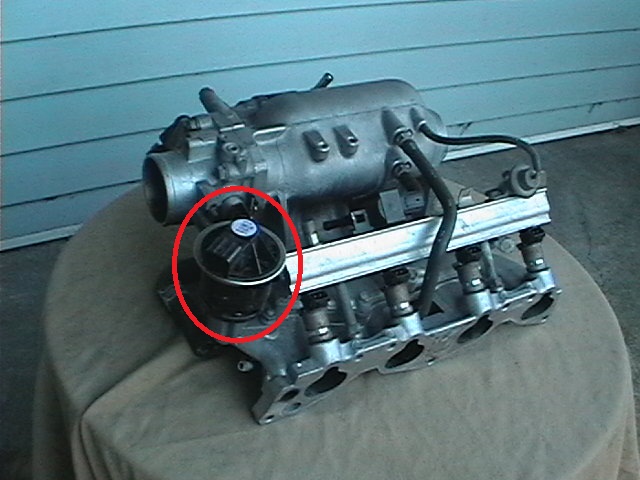 PANA0963.JPG