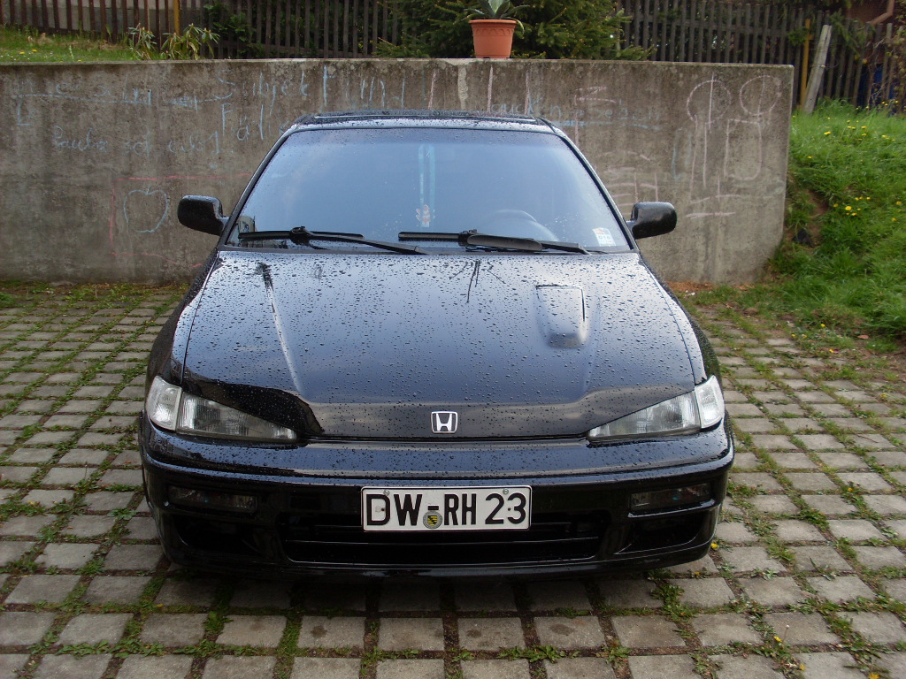 SL382756.JPG