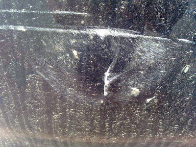 03062013218.jpg