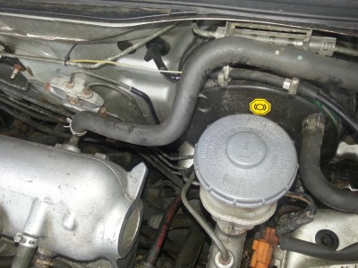 20130610_131151.jpg