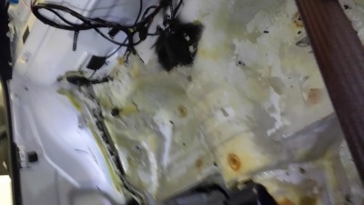 20130623_170439.jpg