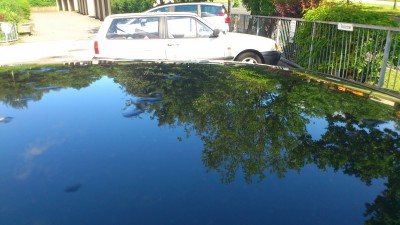 DSC_0154[1].jpg