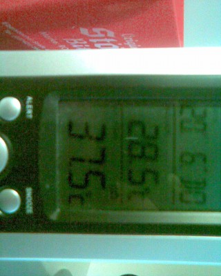 Temp.jpg