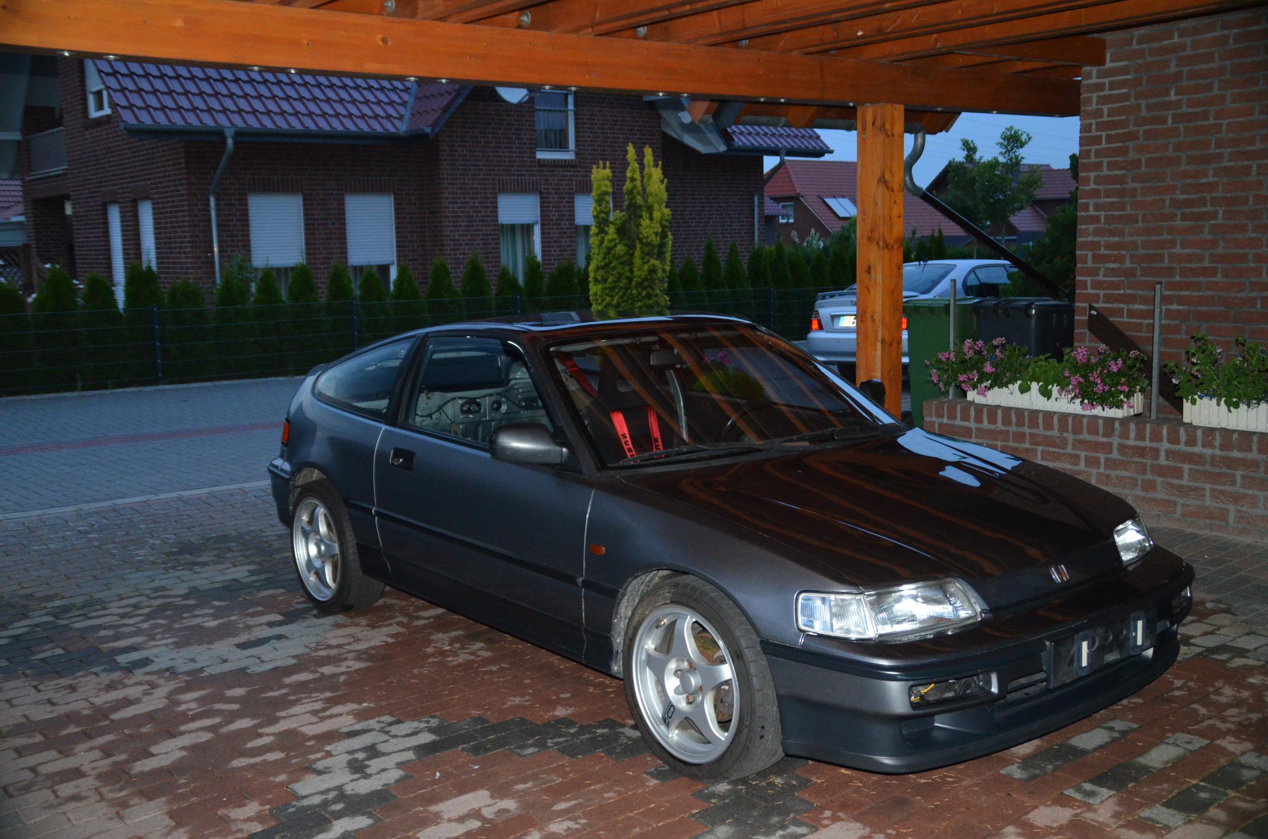 DSC_1856b1.jpg