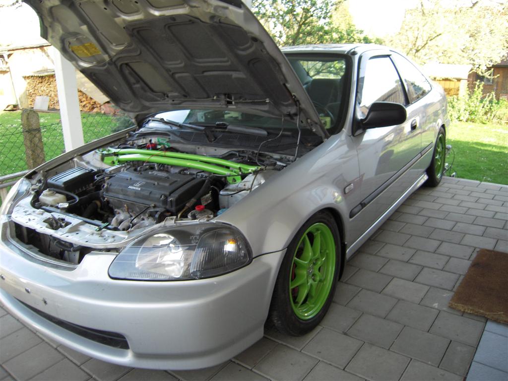DSCN4010 (Large).JPG