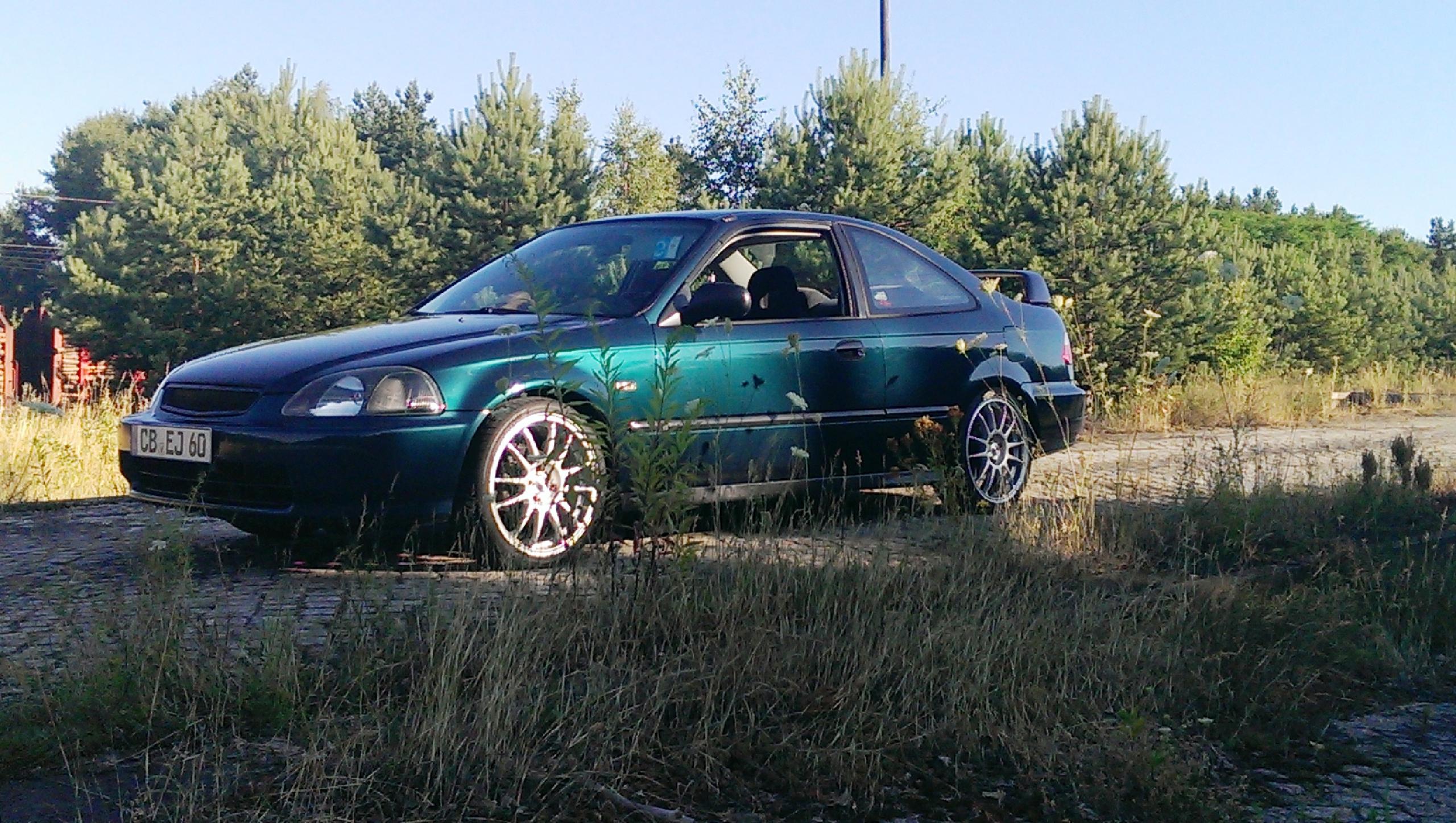IMAG0094.jpg