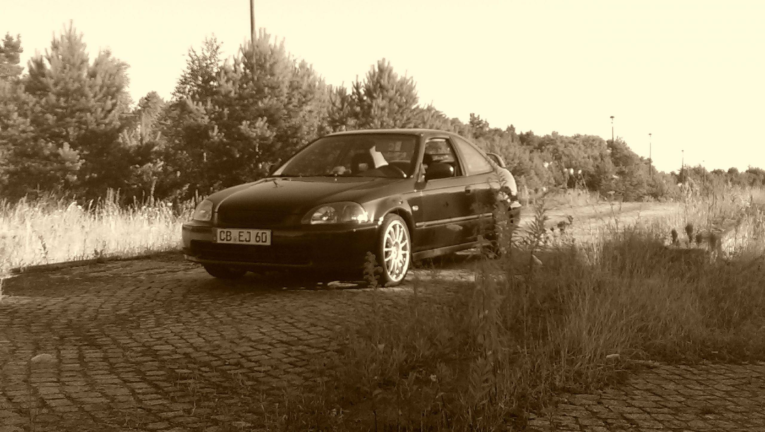 IMAG0097.jpg