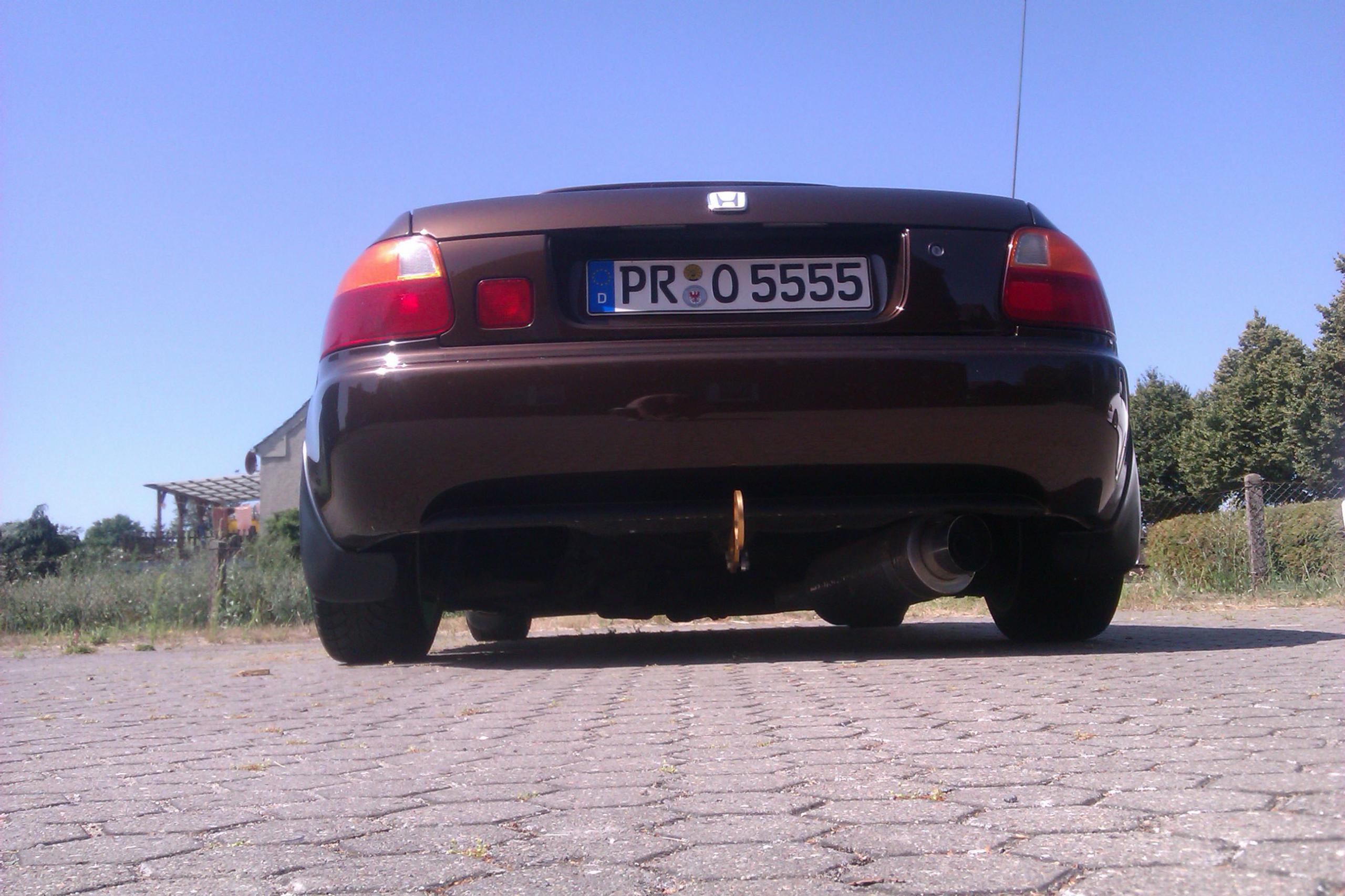 IMAG0203.jpg