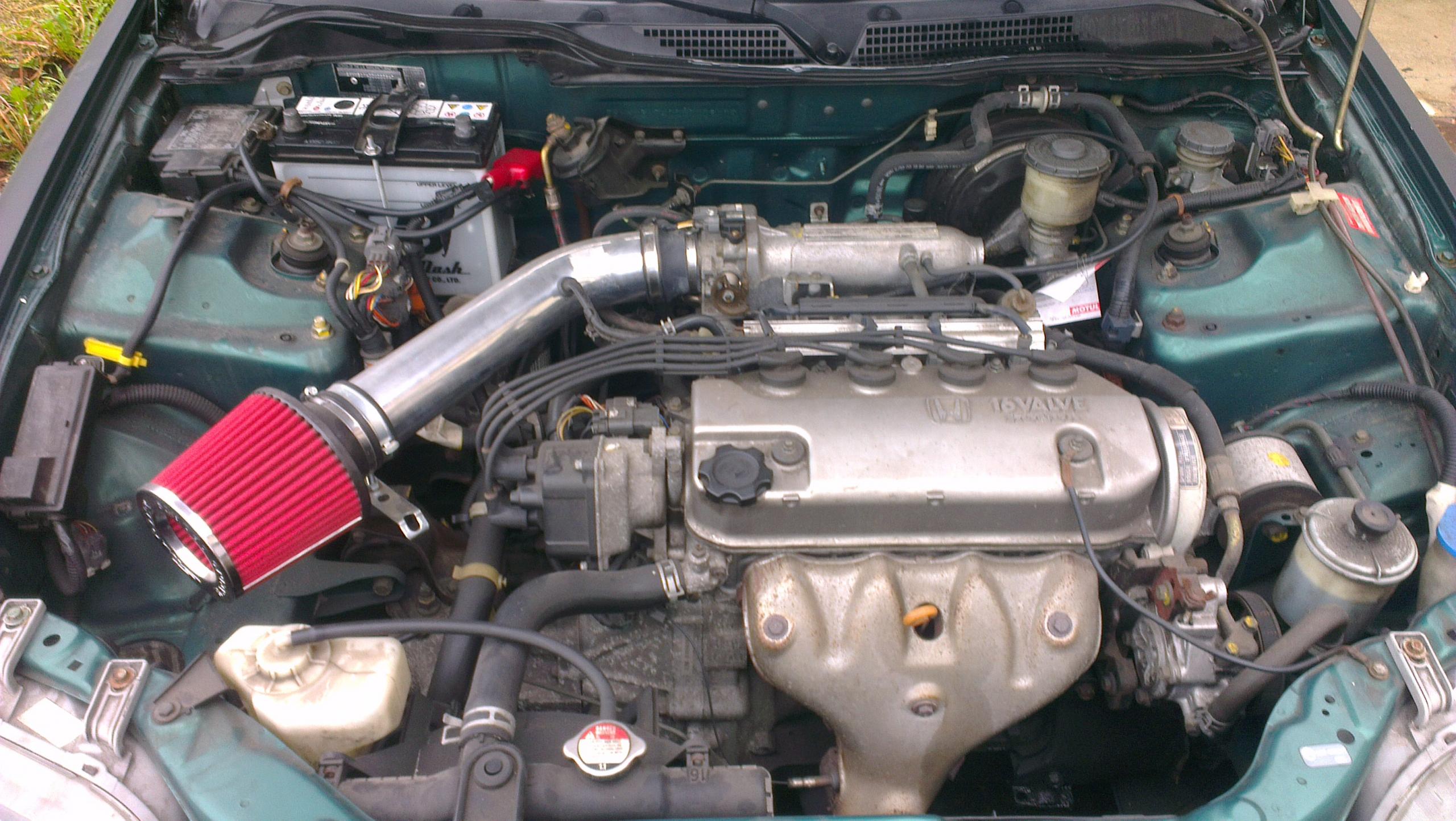 IMAG0210.jpg