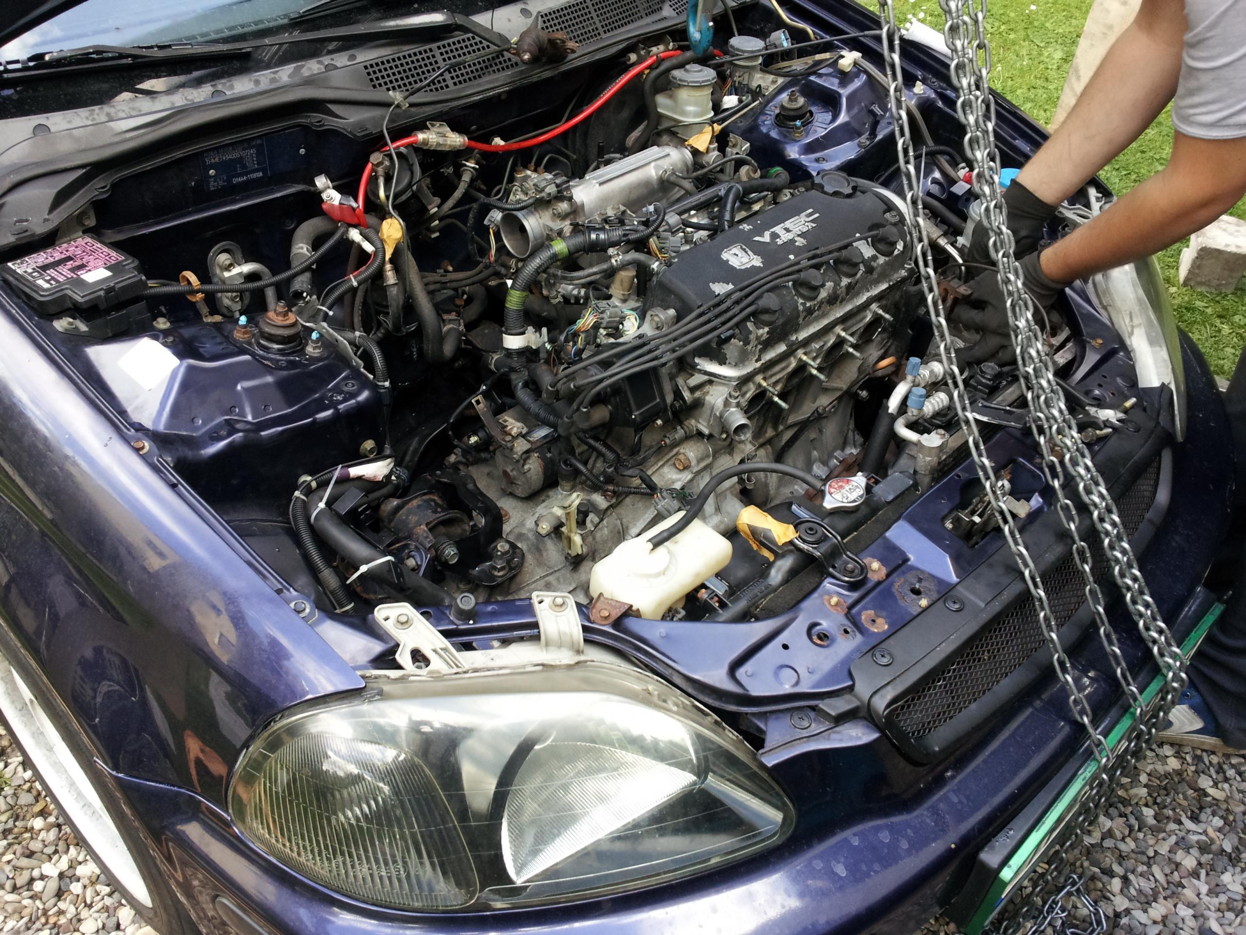 kurz nach dem einsetzen.jpg