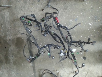 20130702_185256.jpg