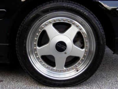 ozwheel[1].jpeg