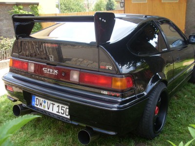 SL384271.JPG