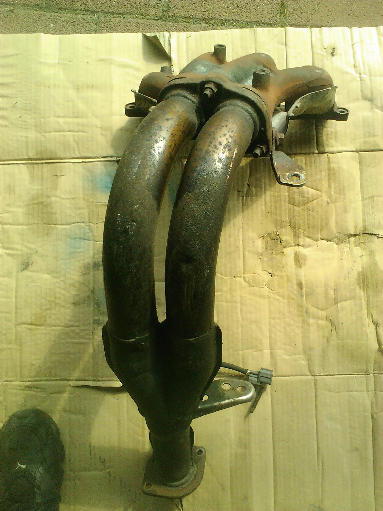WP_002377.jpg