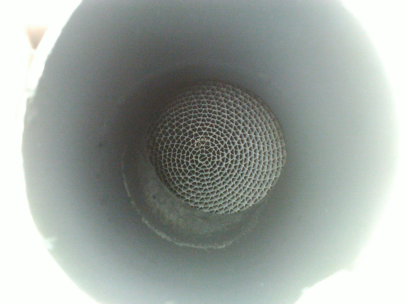 WP_002384.jpg