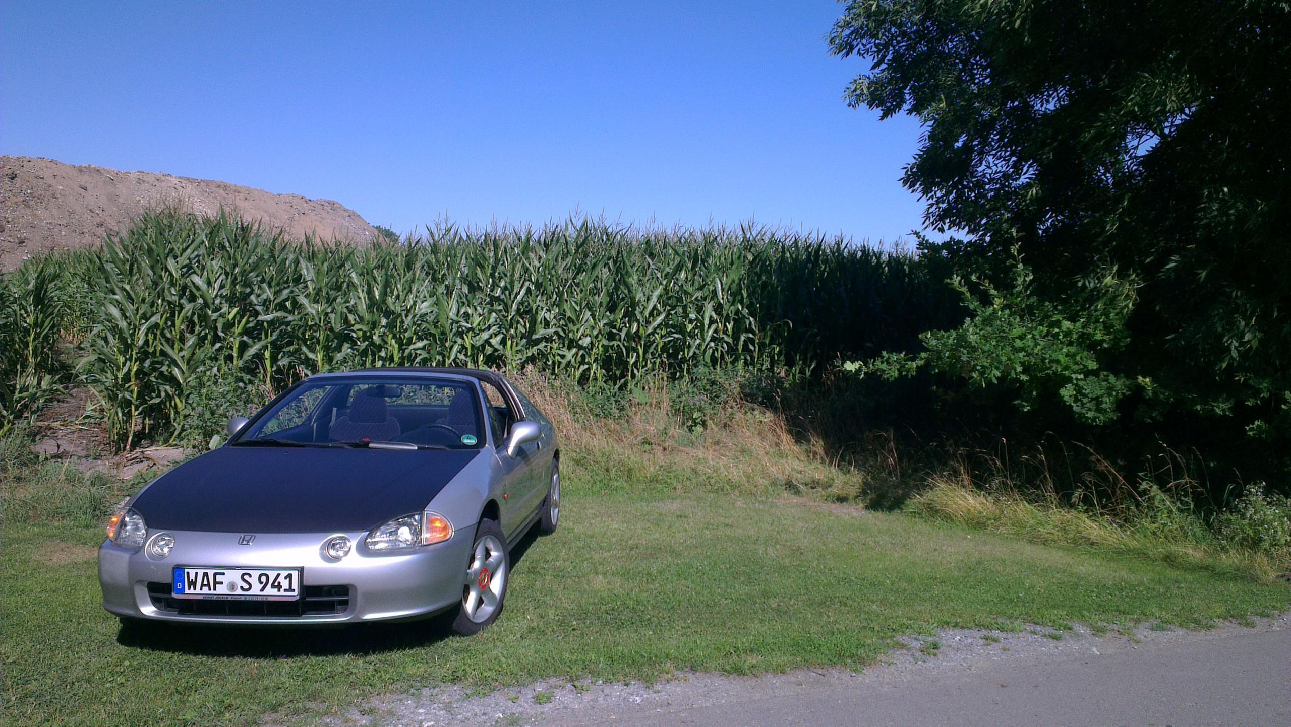 IMAG0250.jpg
