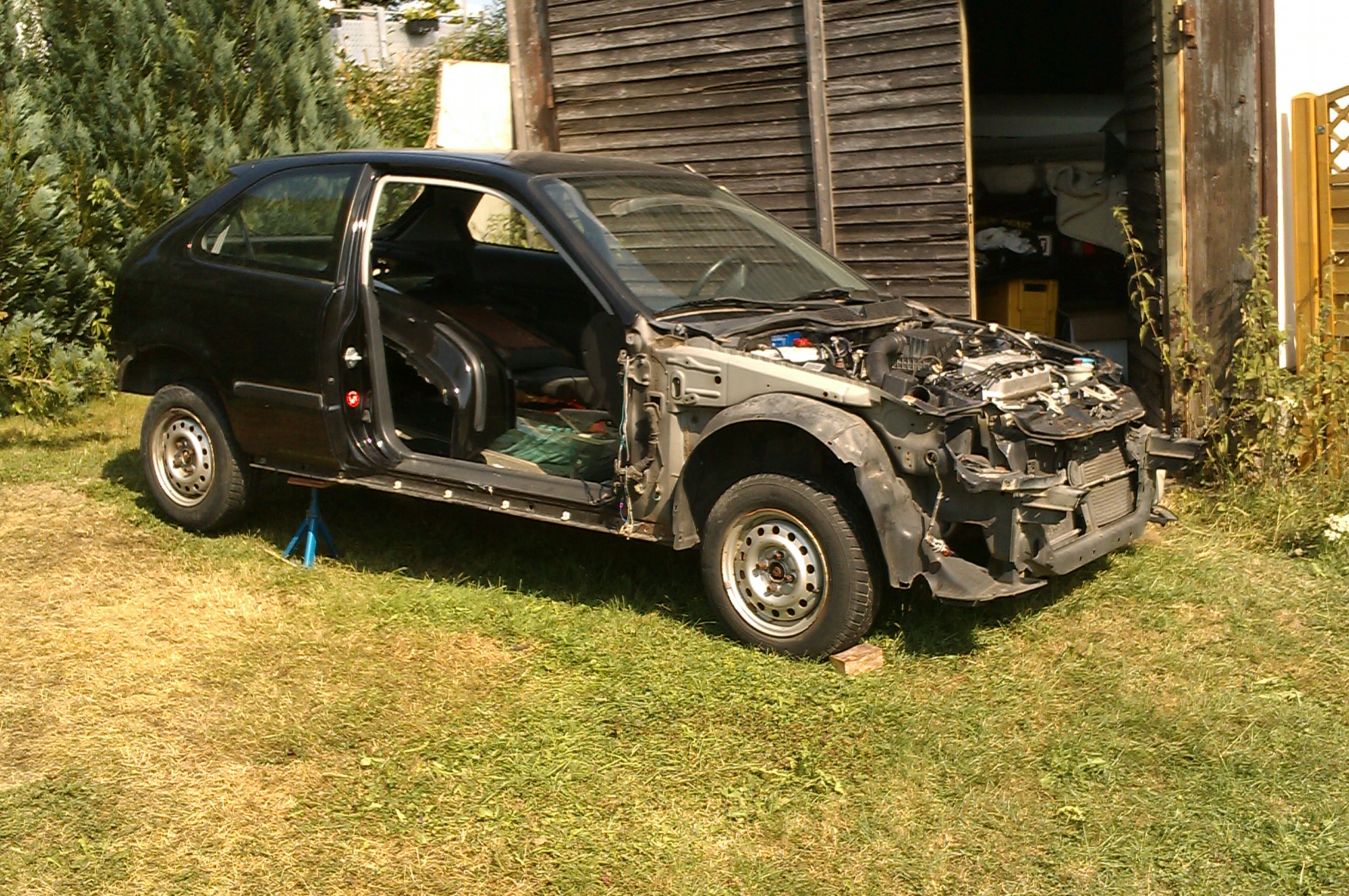 IMAG0393.jpg