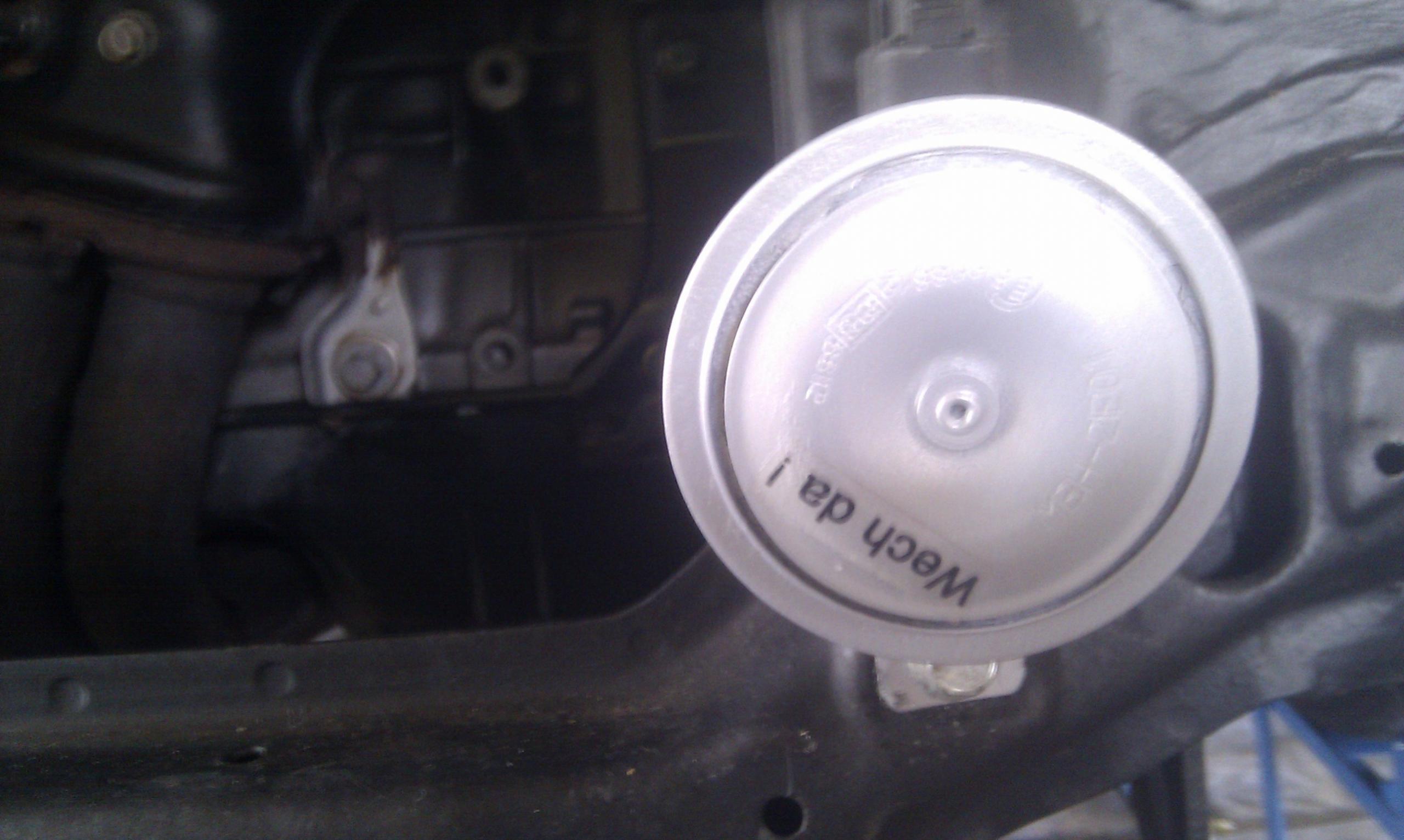 IMAG0574.jpg