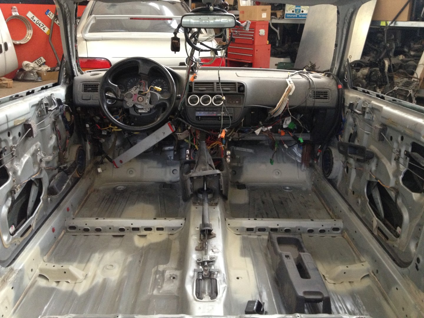 IMG_3593 (Large).JPG