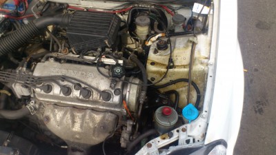 DSC_0240.JPG