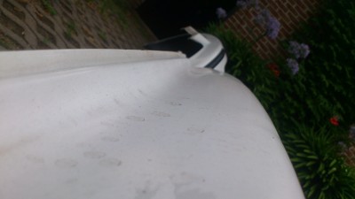 DSC_0255.JPG