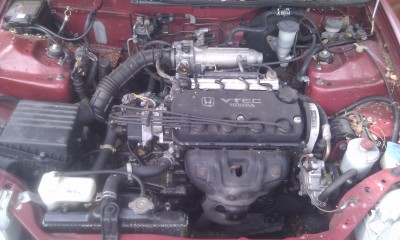 IMAG0336.jpg