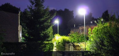 IMG_2981.jpg