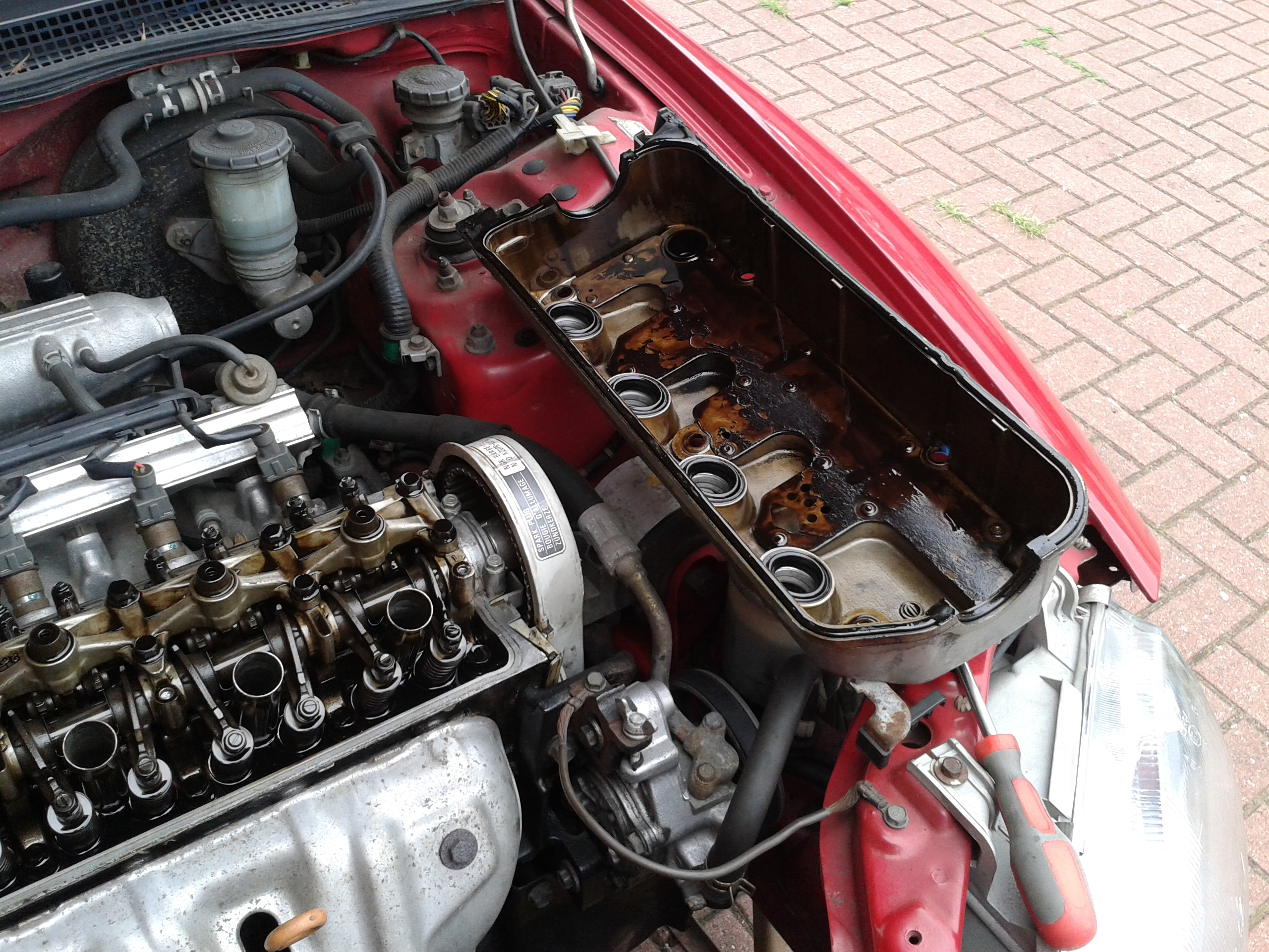 20130914_132654.jpg