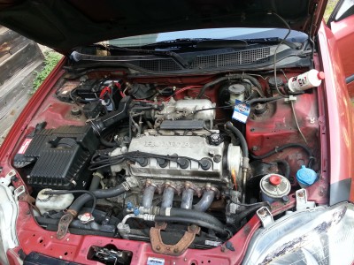 20130922_105300.jpg