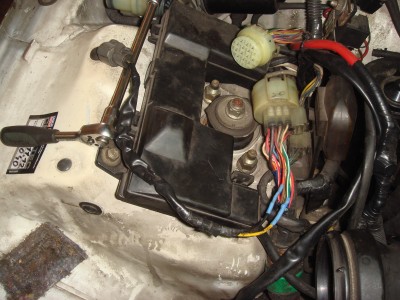 Civic 024.jpg