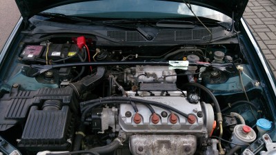 DSC_0110[1].jpg