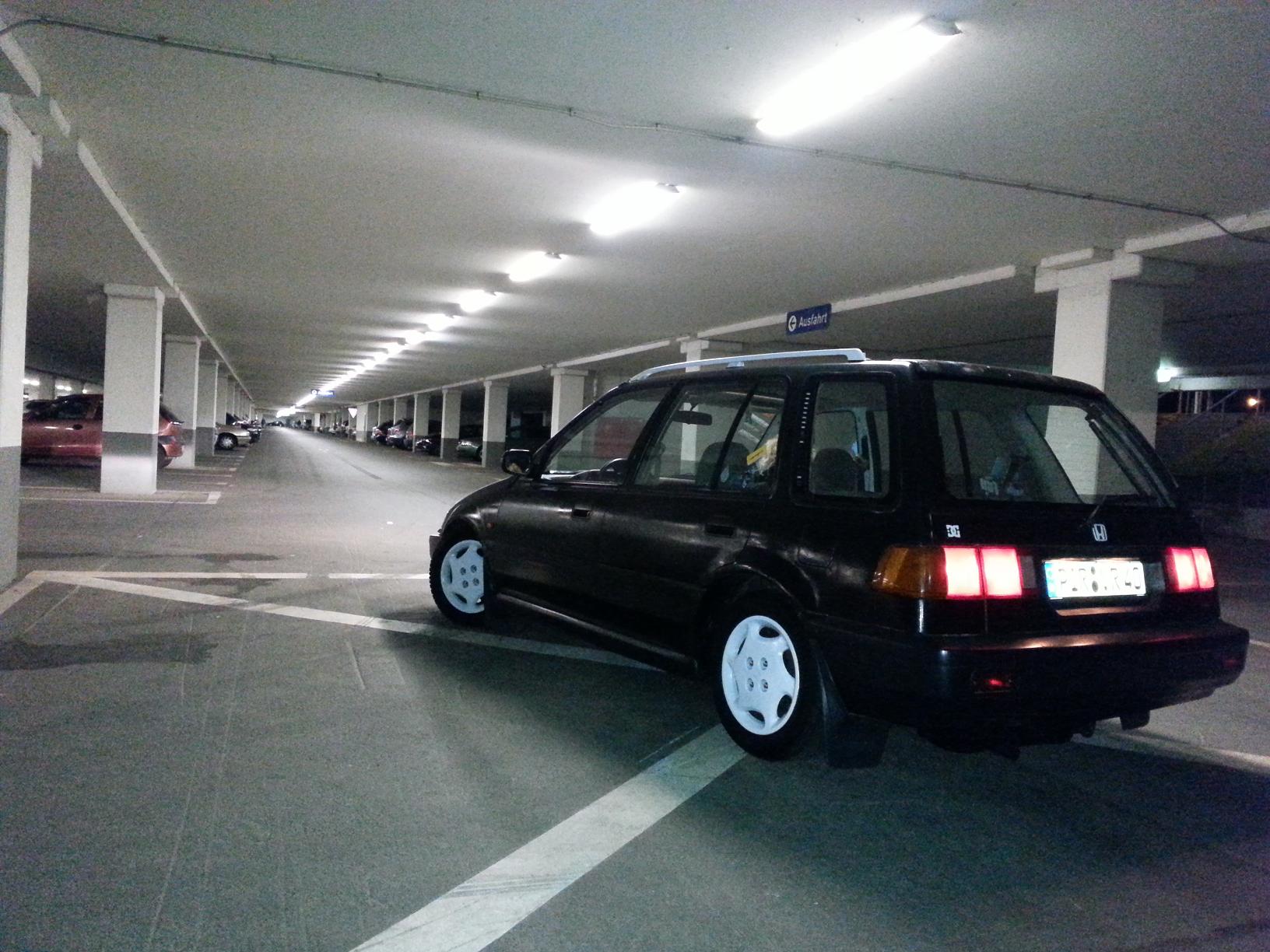 der streuner backside.jpg