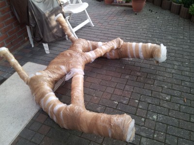 20131007_172332.jpg