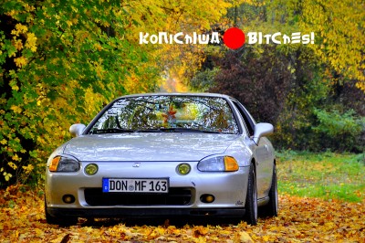 _DSC0145klein.jpg