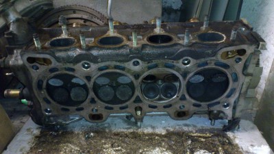 DSC_0282[1].jpg