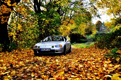 Herbst131klein.jpg